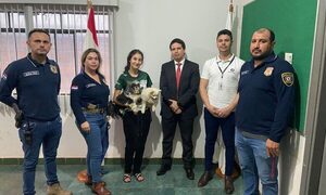 Imputan a sujetos que robaron perritos de raza