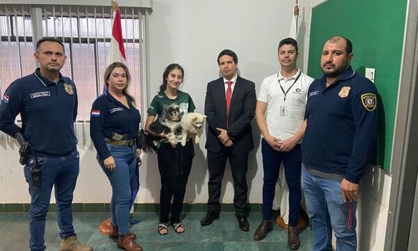 Imputan a sujetos que robaron perritos de raza