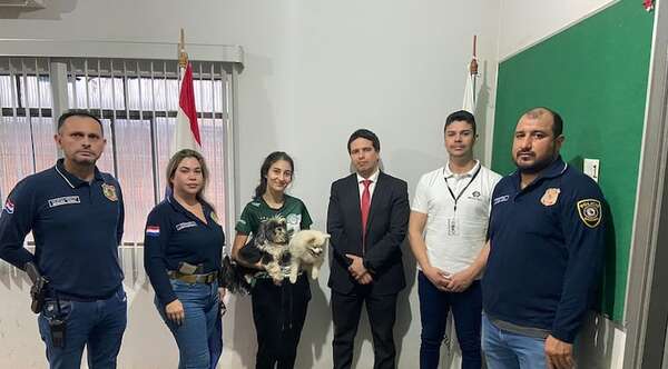 Robaron de una camioneta dos perros de raza y fueron imputados por la Fiscalía - Noticiero Paraguay