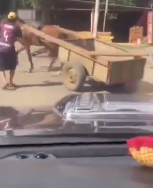 Viral: Caballo corrió tirando su carro y chocó a motoca