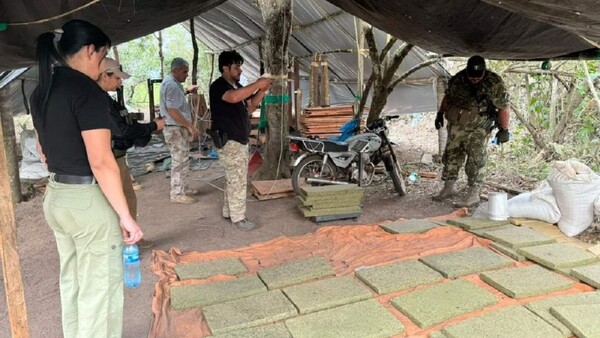 Senad incauta más de dos toneladas de marihuana en Resquín
