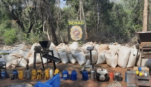 Operativo en Capitán Bado: Senad destruye 6.000 kilos de marihuana