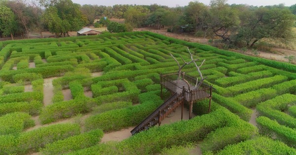 Laberinto Vegetal: único en su tipo en nuestro país, es uno de los sitios más visitados hoy día cerca de Filadelfia