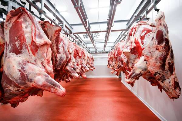 Hablan de degradación de la producción de carne en Paraguay - Nacionales - ABC Color