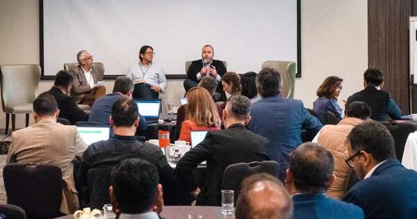 La Nación / De Barros Barreto expone potencial de Paraguay en evento ambiental regional