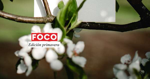 Juventud y negocios