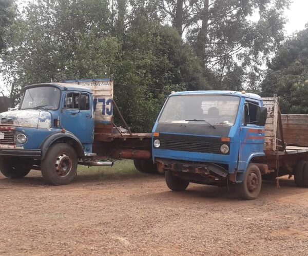 Incautan camiones utilizados para hurto de madera