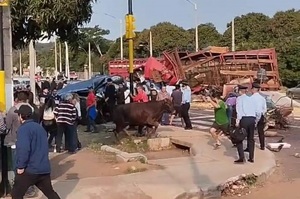Aumenta a 7 los fallecidos tras trágico accidente en Pedrozo