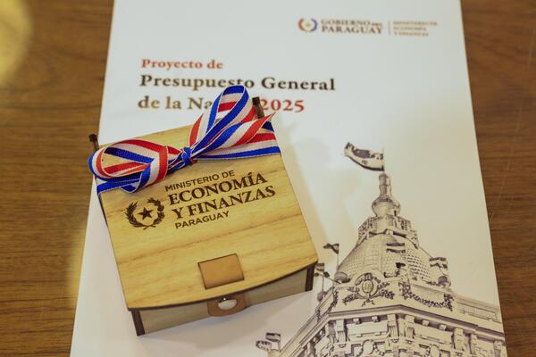 PGN 2025: Emisión de bonos por USD 713 millones y déficit fiscal del 1,9% del PIB - MarketData