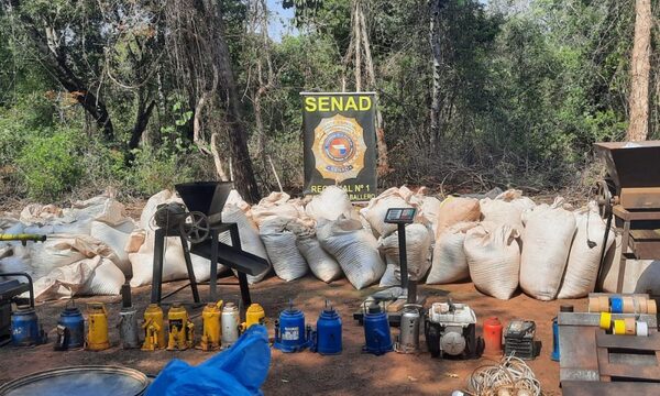 SENAD desarticuló 5 campamentos narcos y anuló 8,6 toneladas de Marihuana