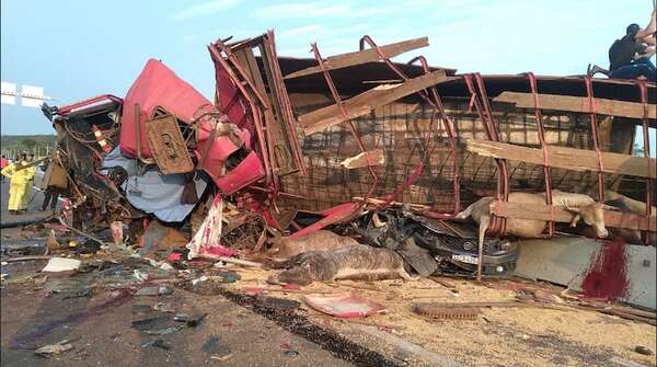 Confirman séptima muerte en grave accidente en Pedrozo - Policiales - ABC Color