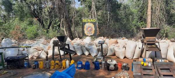 Amambay y San Pedro: Senad destruyó cinco campamentos narcos y 8 toneladas de marihuana - Policiales - ABC Color