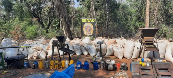 En operaciones simultáneas, Senad anula más de 8 toneladas de marihuana