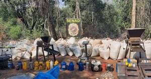 La Nación / Senad destruyó 8.4 toneladas de marihuana en dos centros de acopio