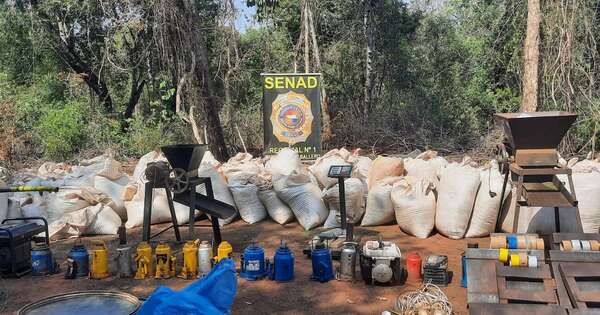 La Nación / Senad destruyó 8.4 toneladas de marihuana en dos centros de acopio