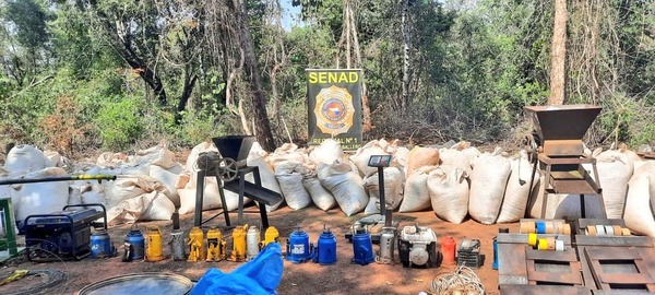Senad destruye 8,4 toneladas de marihuana - ADN Digital