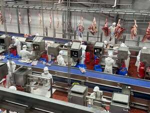 Senacsa: se registra una caída de la faena bovina, pero un leve repunte de exportaciones - Economía - ABC Color