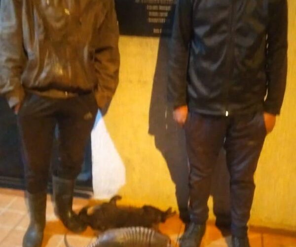 Imputan a cazadores de animales silvestres en peligro de extinción