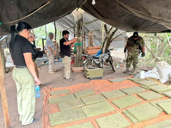 SENAD destruyó más de 8 toneladas de marihuana en el norte del país - Unicanal