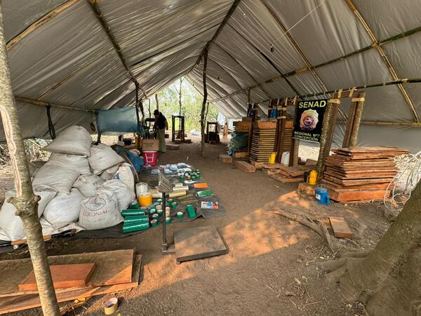 Más de 8 toneladas de marihuana fueron destruidas por la SENAD - trece