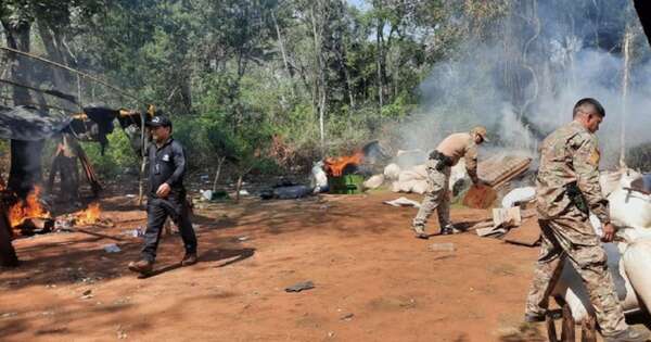 Diario HOY | Desmantelan campamentos y confiscan toneladas de marihuana en Amambay y San Pedro