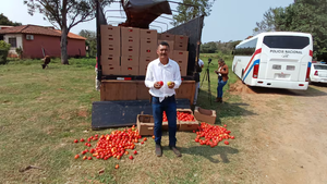 Incautan 6.000 kilos de tomate presumiblemente de contrabando en Coronel Oviedo - Noticiero Paraguay