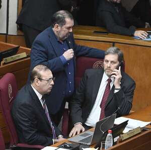 Senadores cartistas reflotan ley para regular la Terapia Ocupacional - Política - ABC Color
