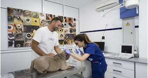 Diario HOY | Analizan crear un hospital pública para animales