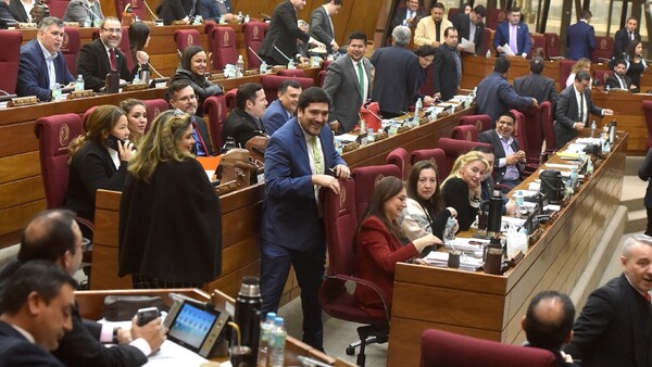 Proyecto sobre oenegés, tal como está, debilitará a la sociedad civil