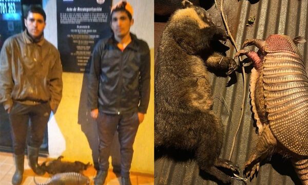 Procesan a dos jóvenes detenidos en reserva por caza de animales silvestres en peligro de extinción – Diario TNPRESS