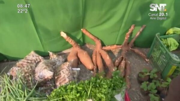Estudiantes de escuelas agrícolas exponen sus productos - SNT
