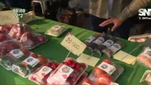 Estudiantes con formación agrícola exponen sus productos - SNT