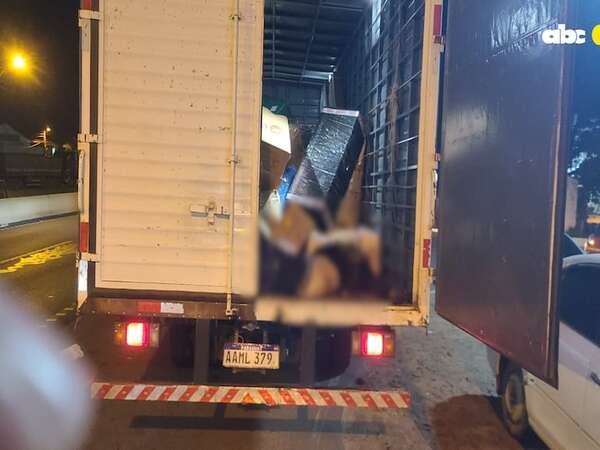 Video: presunto pirata del asfalto fue abatido por el guardia de una transportadora - Policiales - ABC Color