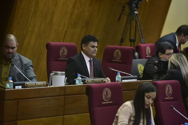 Jura Santiago Benítez como diputado en reemplazo de Lalo Gomes - Política - ABC Color
