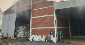Diario HOY | Incendio afectó yerbatera en Itapúa y deja pérdidas cercanas a los G. 500 millones