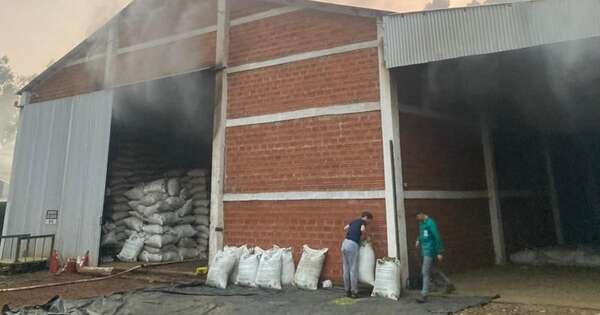 Diario HOY | Incendio afectó yerbatera en Itapúa y deja pérdidas cercanas a los G. 500 millones