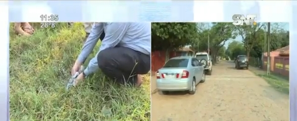 Allanamiento en caso de asalto a comercio de Loma Pytã - SNT