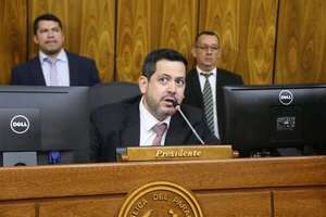 Nenecho: titular de Diputados pide que “no sean solamente los colorados los imputados”  - Nacionales - ABC Color