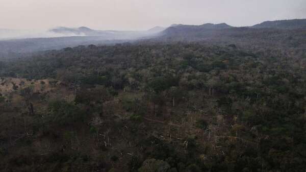 Bolivia reporta 2,9 millones de hectáreas afectadas por incendios forestales en 3 regiones - Mundo - ABC Color