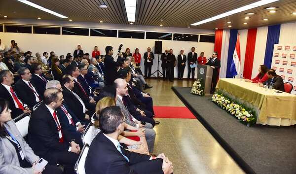 La ANDE comprará banderas por casi G. 40 millones ¿Para qué? - Economía - ABC Color