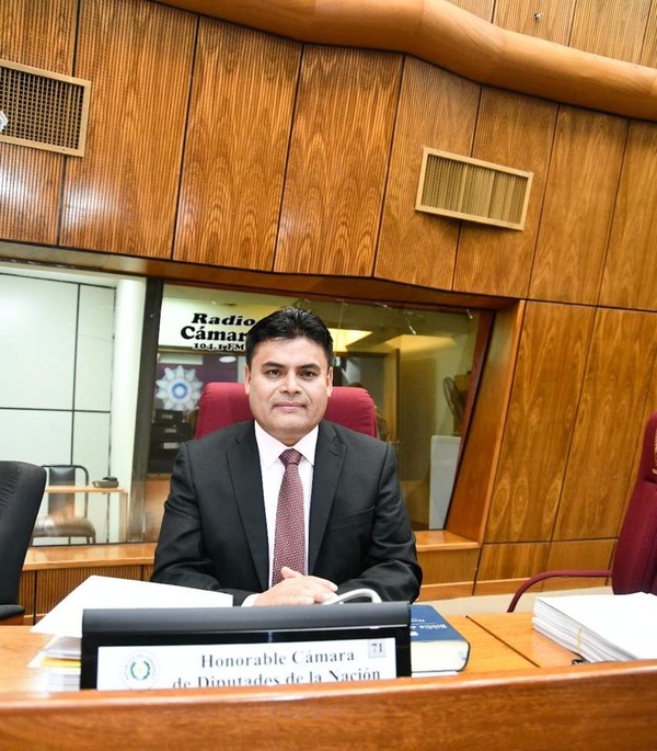 Santiago Benítez asumió como diputado en sustitución de Lalo Gomes - trece
