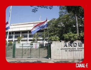 ANDE PAGARÁ MILLONES POR COMPRA DE BANDERAS