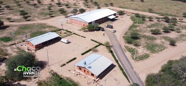Cepresol: Un pilar de sostenibilidad en el corazón del Chaco