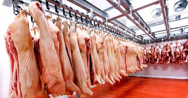 La Nación / Ingresos por envíos del sector porcino crecieron 72 % al cierre de agosto