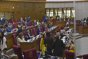 AUDIO: Diputados dieron media sanción a Ley “Antipolladas” - Periodísticamente - ABC Color