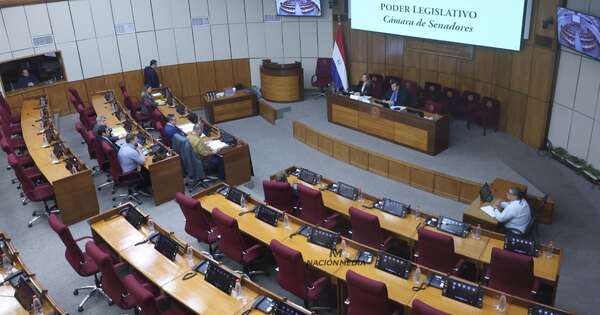 La Nación / ONG intentó controlar proceso electoral teniendo como candidato a uno de sus directivos, dijo Leite