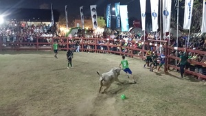 Futi-boi arrasó nuevamente en la Expo Norte 2024