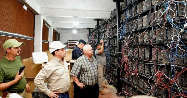 Diario HOY | Criptominería: la ley de la selva en el país de la energía barata