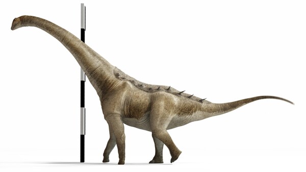 Arqueólogos identifican un nuevo titanosaurio que vivió hace 72 millones de años