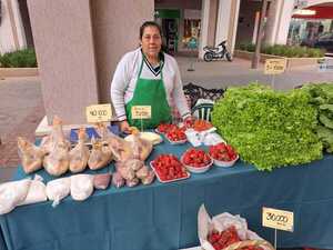 Familias de Central, Bajo Chaco y Caaguazú ofertan productos del campo en el Multiplaza - .::Agencia IP::.